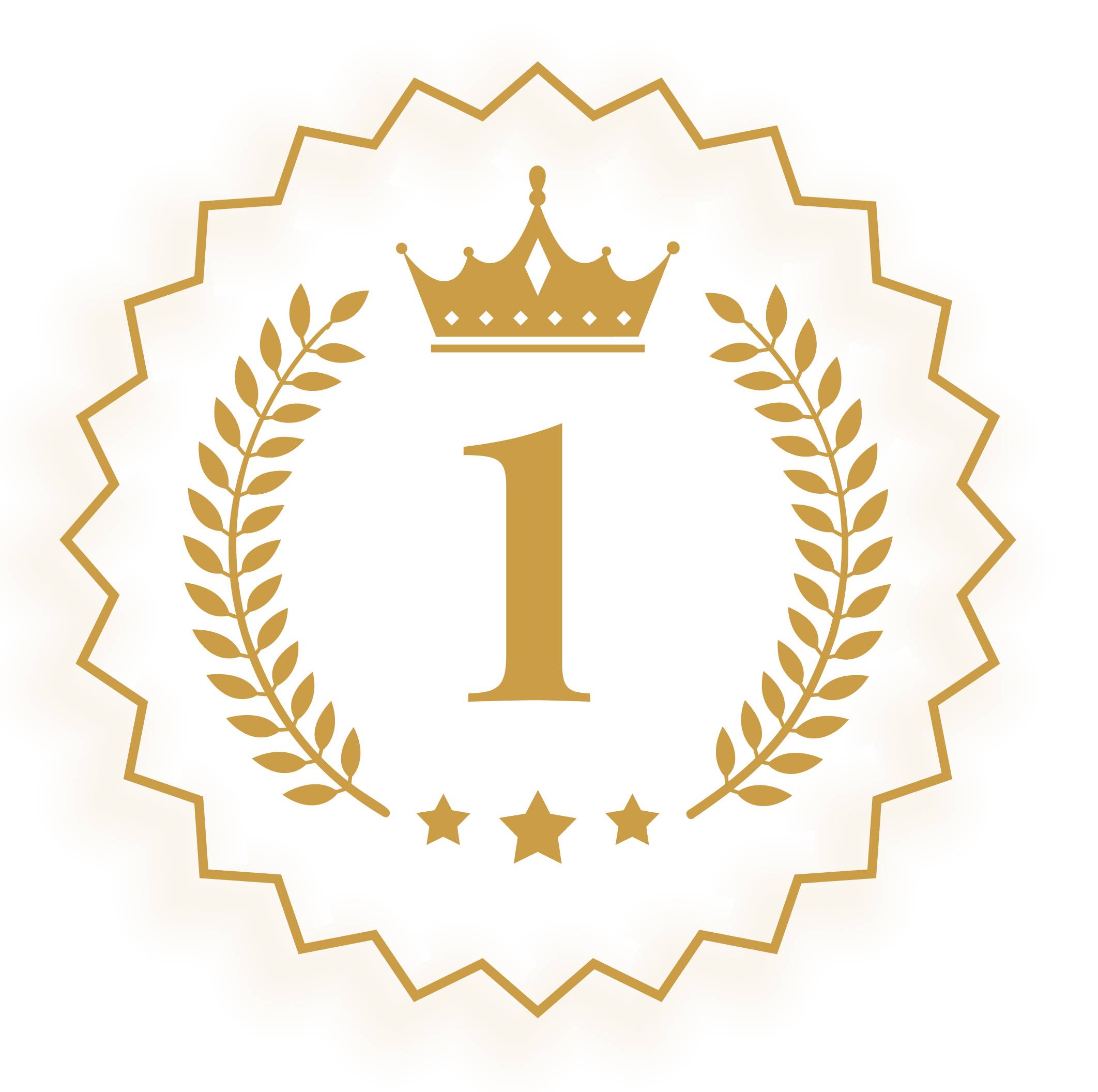 Real Human Support, Not Bots